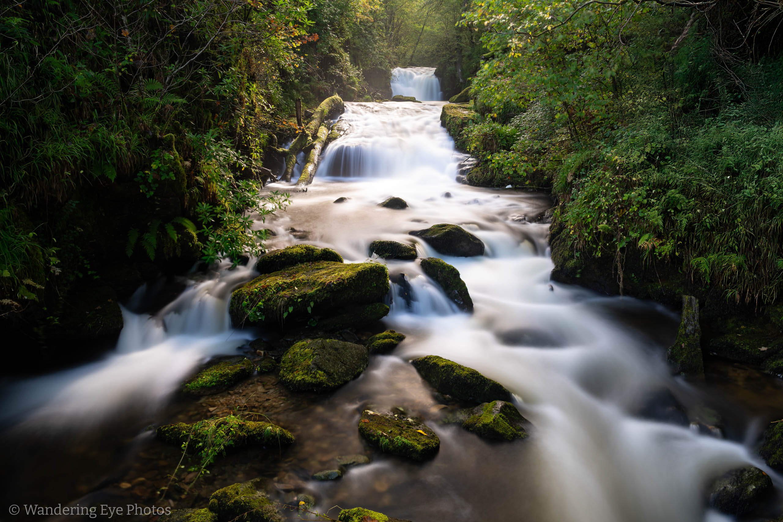 10.17 13.53.57   DSC05255 Edit